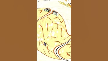 Thief Puzzle #Level19/20 #shorts