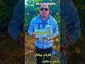 نقطه زن گنج طلا طلایاب فرکانسی امریکائی