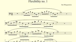 Flexibility no. 1