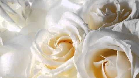 The Description of Jannah - 