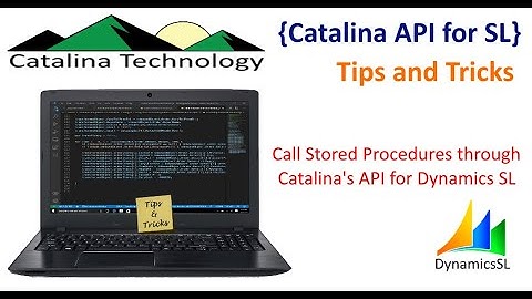 Call Stored Procedures in Dynamics SL Using Catalina