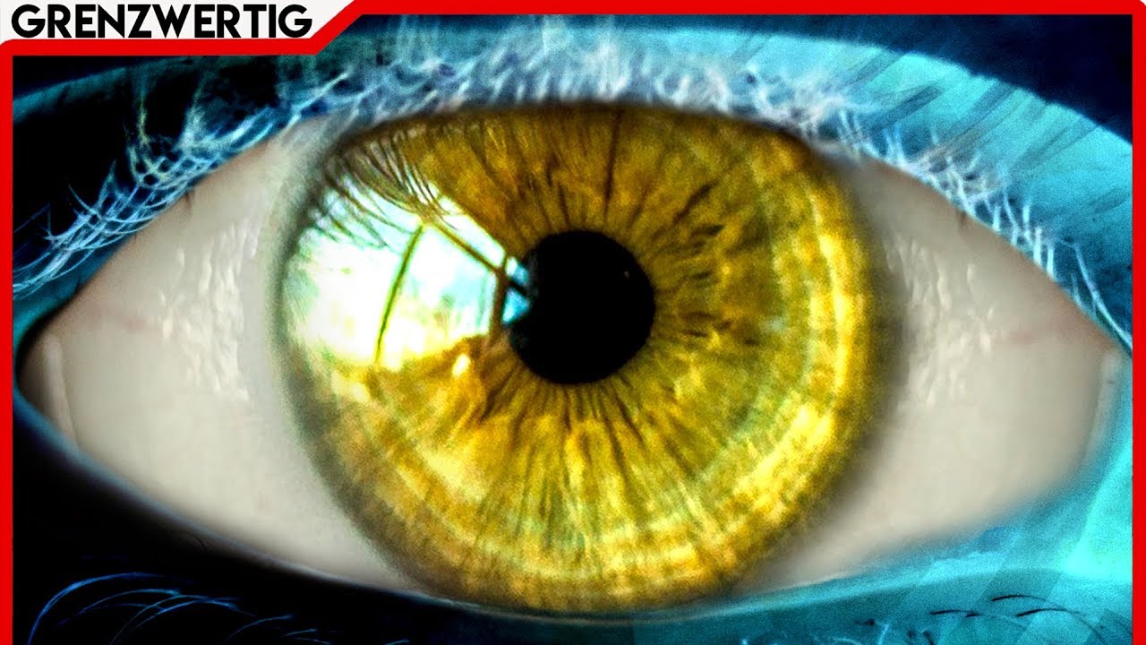 Das Bewusstsein & die Bewusstwerdung