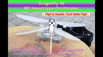 Dragonfly48 with Stabilizer :Good Stable Flight at Seaside