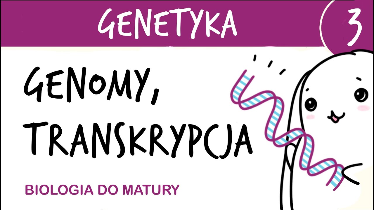 Genetyka 3 🧬 Genomy - porównanie, transkrypcja - matura z biologii