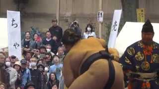 20150403 靖国神社奉納相撲 豪栄道vs照ノ富士