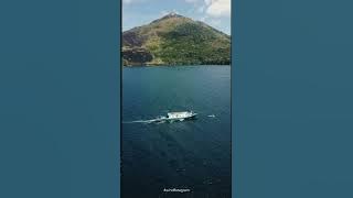 Pengalaman Melihat Lumba-Lumba di Banda Neira