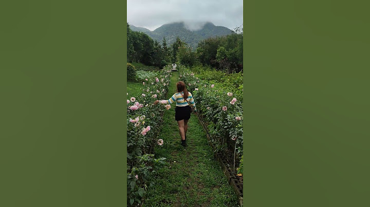 Tourist Spot at Ormoc Leyte #HeavensPeak