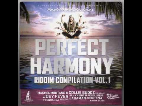 Perfect Harmony riddim medley vol1 - prod by Parti...