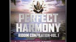 Perfect Harmony riddim medley vol1 - prod by Partillo (february 2011)