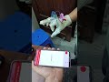 Hand gestures sign language