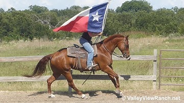 Inwhizable Image - carrying the flag - ValleyViewRanch.net