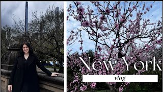 VLOG: прогулки, еда для кота, благотворительность, новости