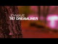Joywave 787 Dreamliner Unofficial Lyric Video mp3