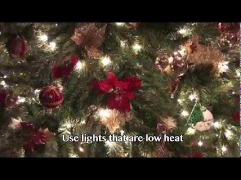 Christmas Tree Care Otooles Garden Centers Youtube