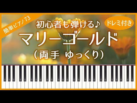 【簡単ピアノ73】【両手 ゆっくり】マリーゴールド（あいみょん）・初心者向け・ドレミ付き・練習用