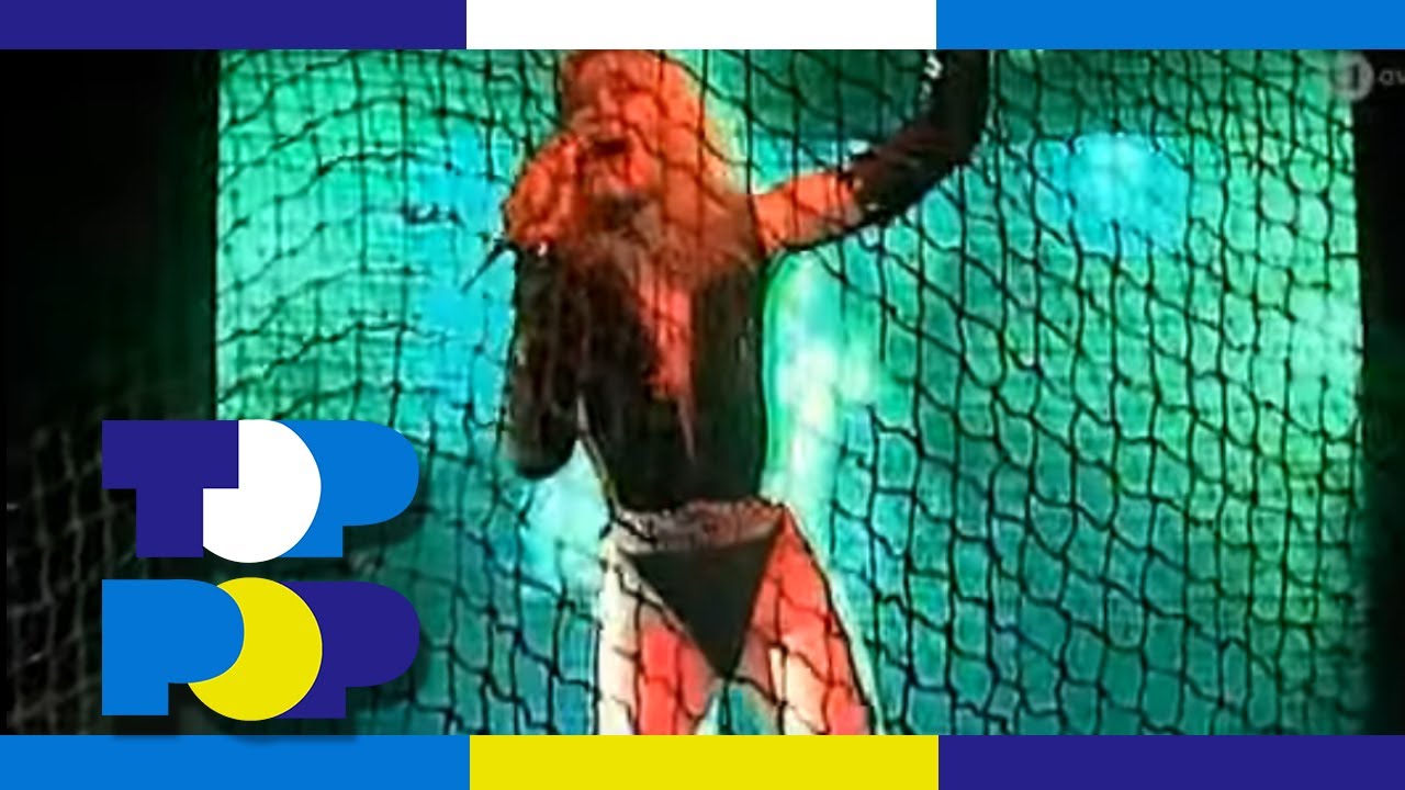 Candy Race - Wild World • TopPop