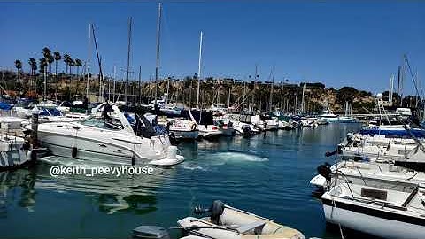 Another docking fail in Dana Point Harbor 8/8/2020