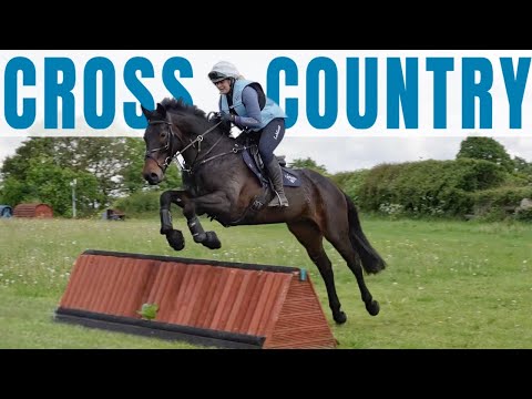 'LOOSE HORSE!' Wilma goes XC schooling!