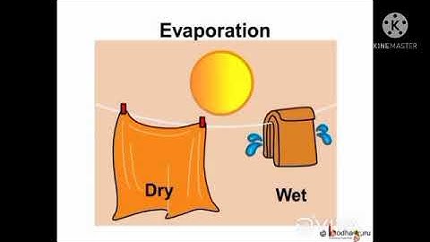 EVS Bridge course for grade1 day1