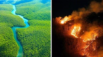 AMAZON rain forest FIRE? This TRUTH will SHOCK you!
