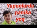 yaponlarda panika yoq