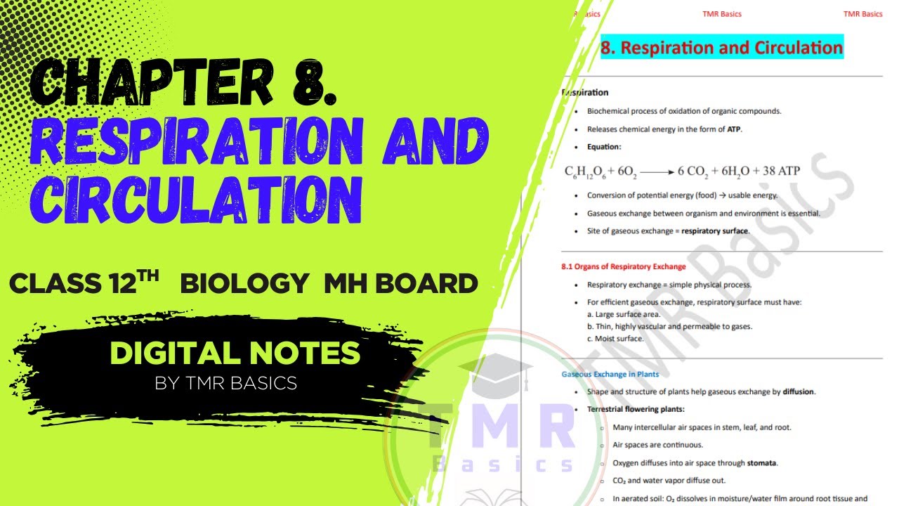 8. Respiration and Circulation || Class 12th Biology || MH Board ...