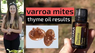 Beekeeping For Beginners - Treating Varroa Mites With Thyme Oil & Results screenshot 4