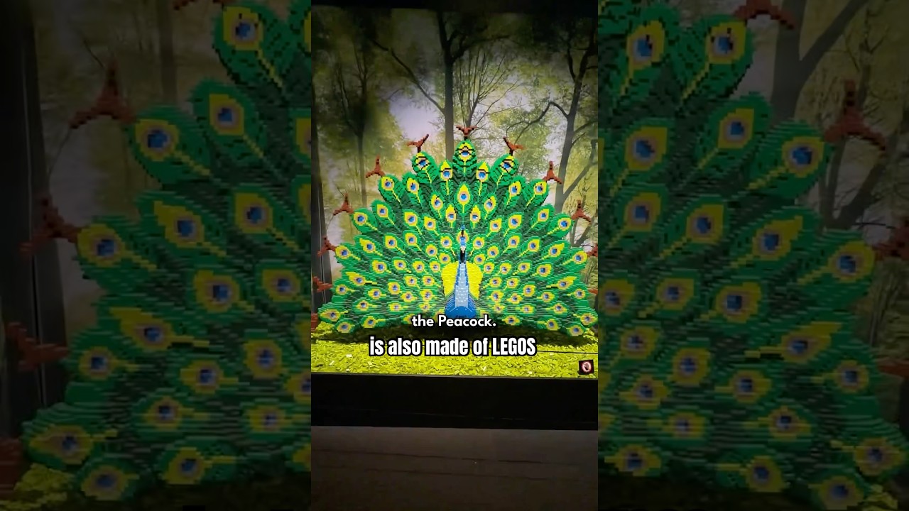 1.5 Million LEGOS?! 🧱 Checking Out Brick Planet at DMNS