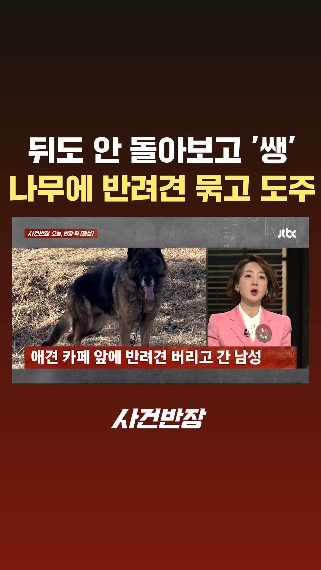 뒤도 안 돌아보고 '쌩'…나무에 반려견 묶고 도주 #JTBC #Shorts