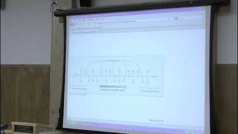 Protein Structure and Function by Kevin Ahern, Part 1 of 8