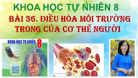 Khoa học tự nhiên 8 - Kết nối tri thức - Bài  36. Điều hòa môi trường trong của cơ thể người.