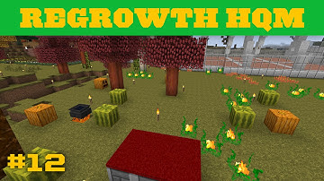 Regrowth HQM - Starting Witchery Quests - 12