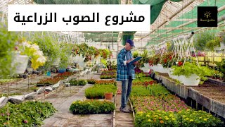 مشروع الصوب الزراعية