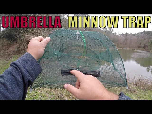 CHEAP UMBRELLA MINNOW TRAP WISH   