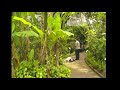 赤塚植物園　 54 の動画、YouTube動画。