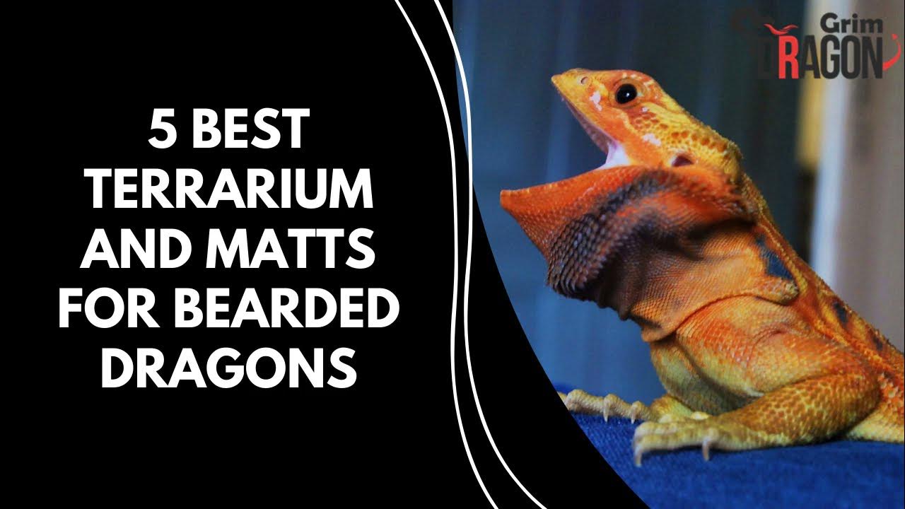 5 Best Mats for Bearded Dragons Bearded Dragon Best Mats & Bedding YouTube