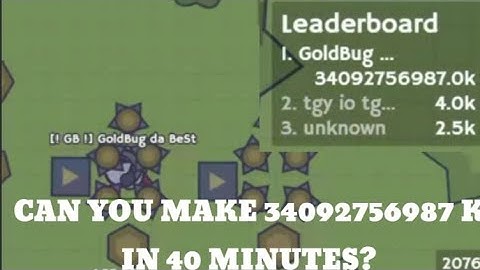 moomoo.io goldbug world record in 40 minutes