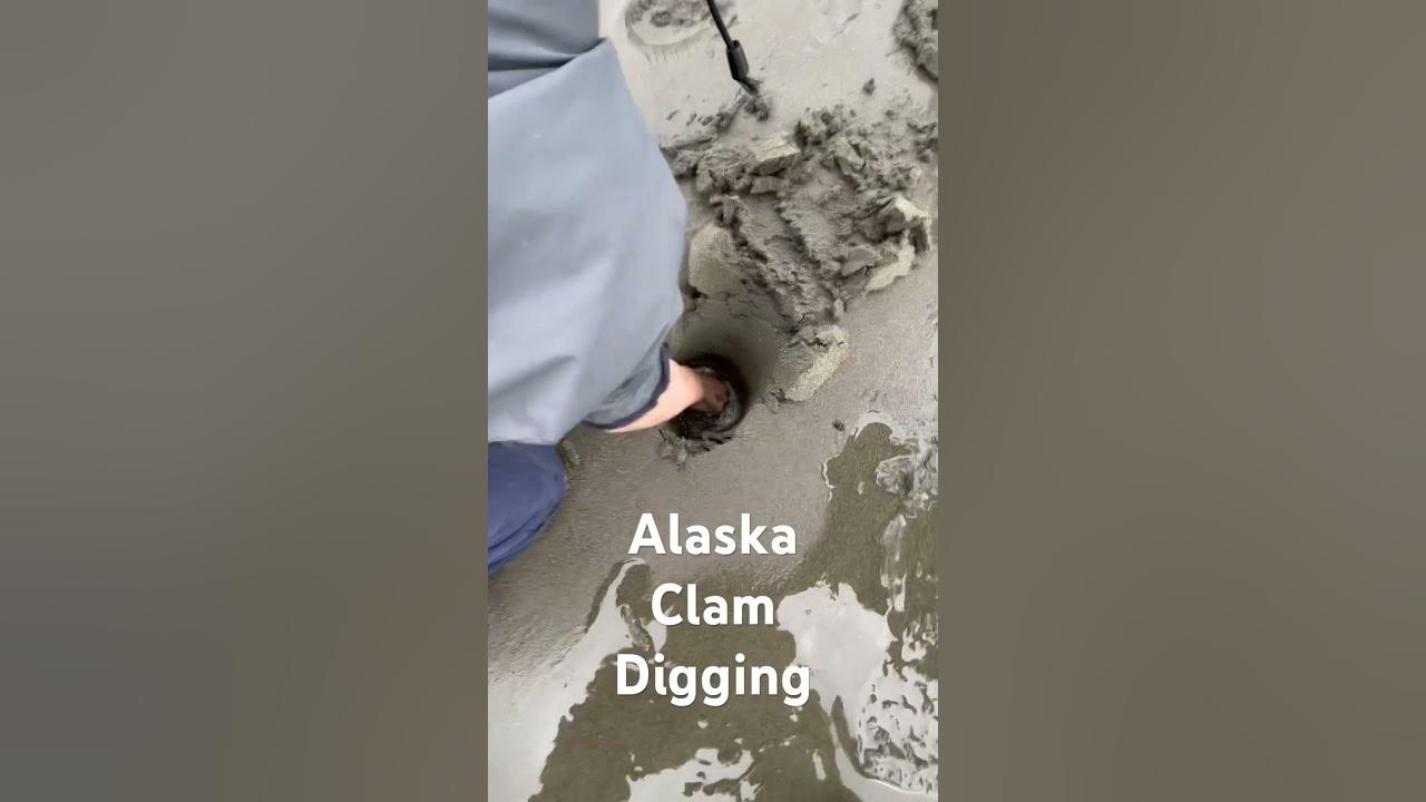 Alaska Clam Digging alaskawildproject alaskalife podcast 