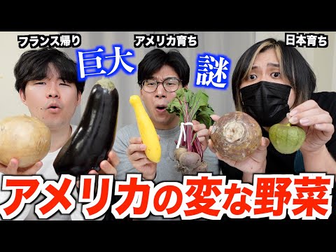 アメリカの野菜が日本と違いすぎる！日本人の口には合わない？