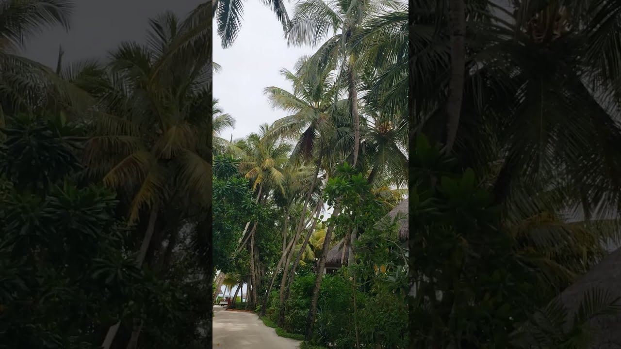 Exploring the Tropical Grounds of W Maldives Beach Villas | May 2025 Escape 