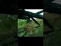 Идеальный ИИ для тебя
