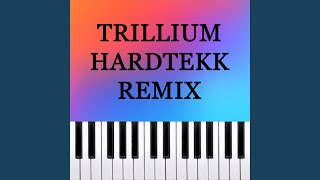 TRILLIUM HARDTEKK - Dario D'Aversa
