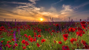 HAP software tutorial in English cooling loads Hourly Analysis Program System components part 1