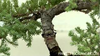 Annoying Orange Wazzup 3 Bonsai Tree