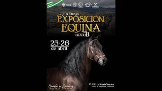 EXPOSICIÓN EQUINA TUNJA 2026 GRADO B  - día 2