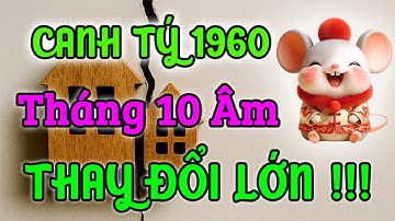THAY ĐỔI LỚN CẦN BIẾT! Gia Đạo Canh Tý 1960 Tháng 10 Âm 2025