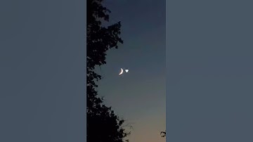 سوره القمر معاذ صيام ❤❤❤