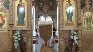 Pr. Dan Popovici - Sfântul Grigorie Palama și Sinodul al IX-lea Ecumenic