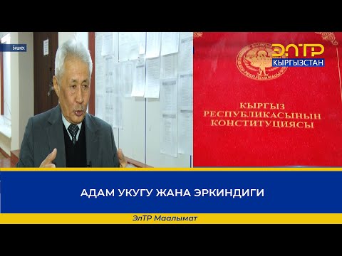 Video: Адамдын тандоо эркиндиги. Тандоо эркиндигине укук