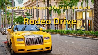 Most Famous Shopping District in the World: Rodeo Drive